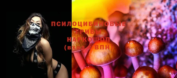 амф Алексеевка