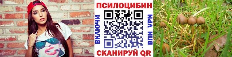 Псилоцибиновые грибы Cubensis  Россошь 